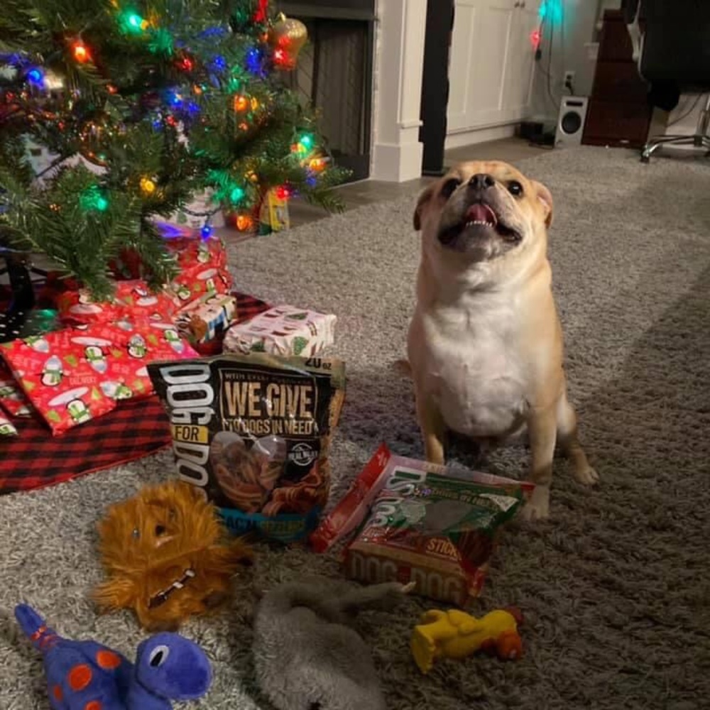 Meet your Posher, Thomas and Cheryl